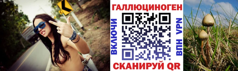 Псилоцибиновые грибы прущие грибы наркотики Дальнегорск